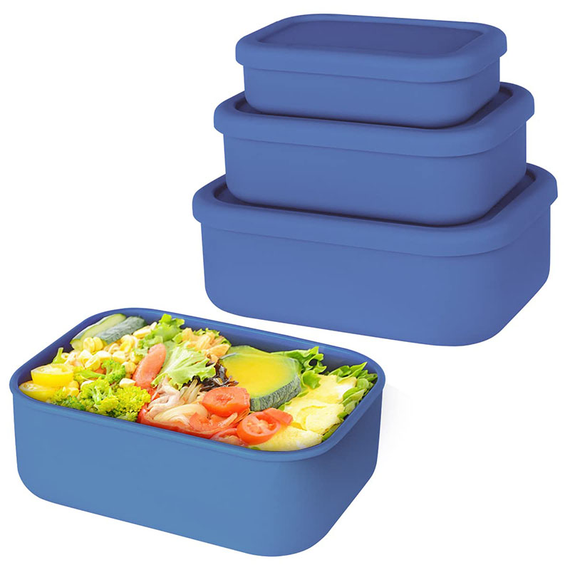 Leak-Resistant Bento Lunch Box - Meal Preparation recension och pris
