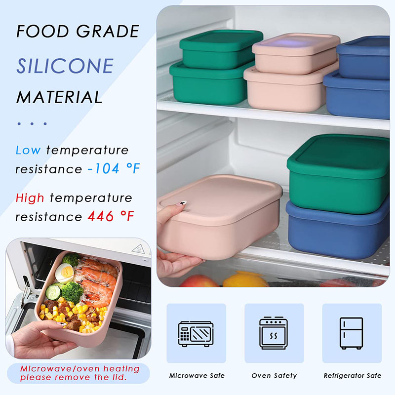 Leak-Resistant Bento Lunch Box - Meal Preparation recension och pris